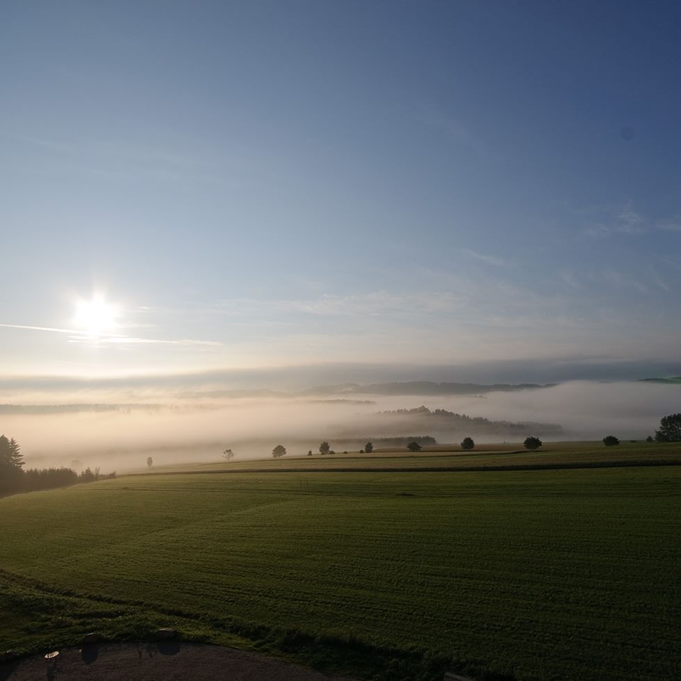 A spacious grassland on a sunrise with a clear sky near Falkensteiner Hotels & Residences