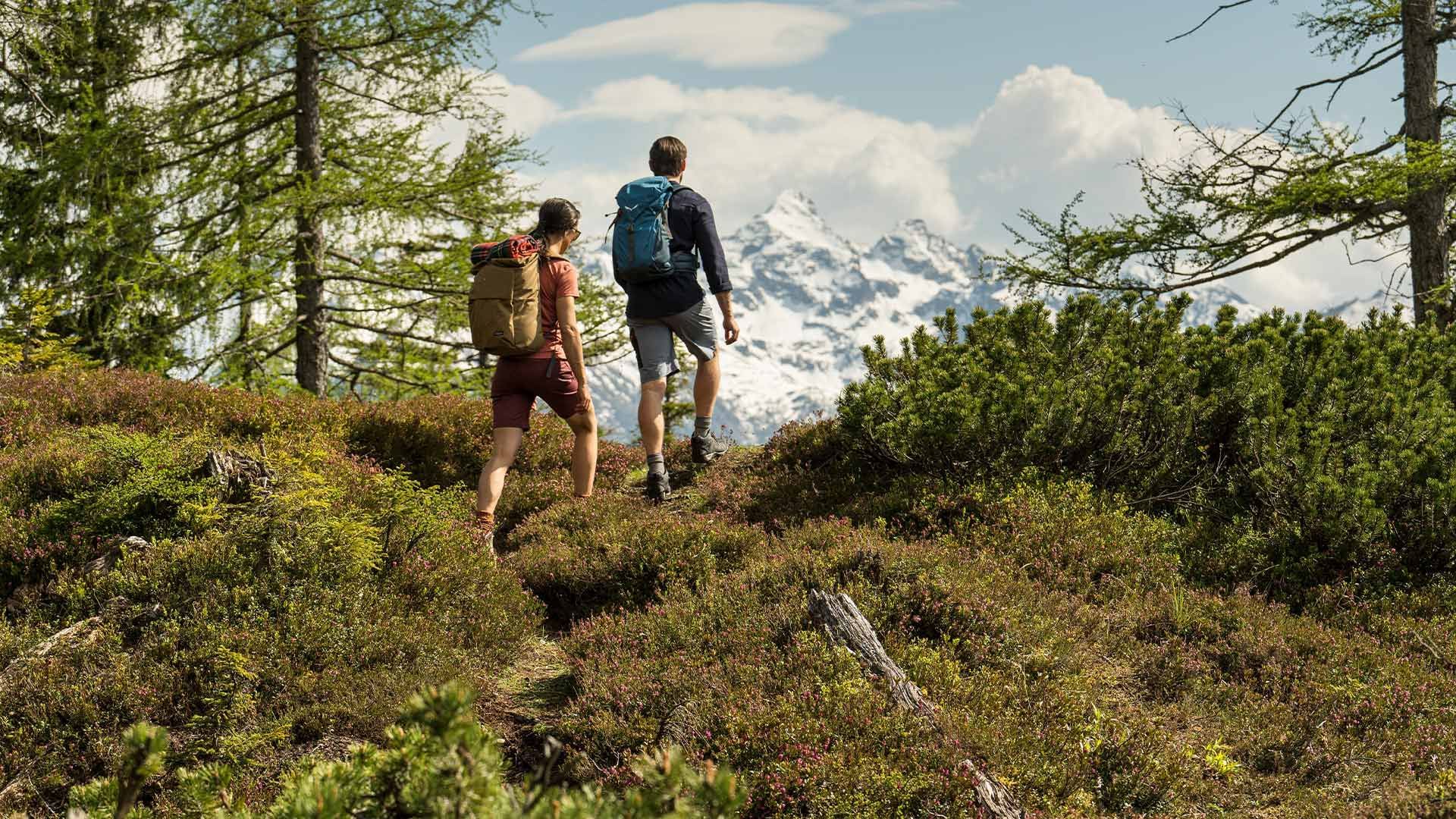 Zwei Wanderer auf einem Pfad in den Bergen, umgeben von grüner Vegetation und schneebedeckten Gipfeln.