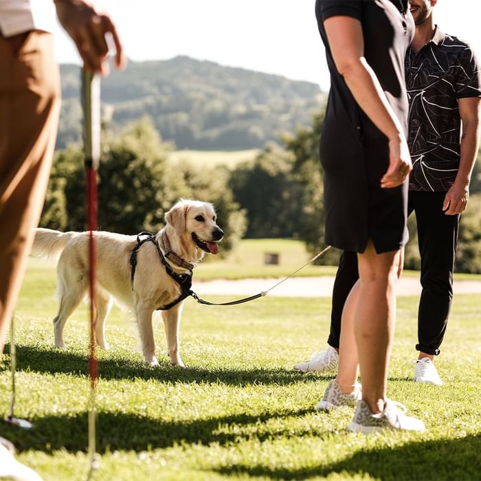 Two people and a dog on a leash in a sunny park near Falkensteiner Hotels & Residences