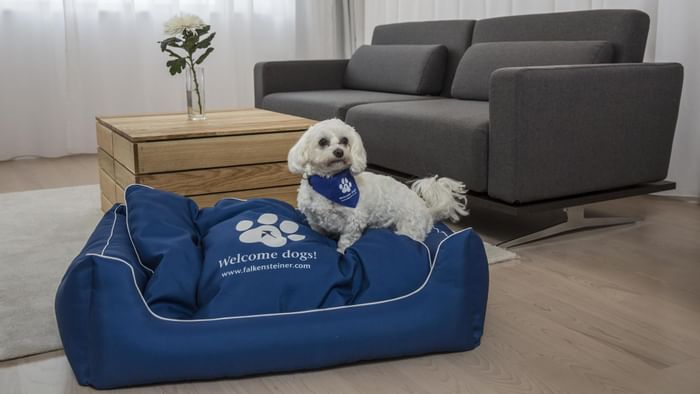 A puppy laying on a dog bed in living area at Falkensteiner Hotels & Residences